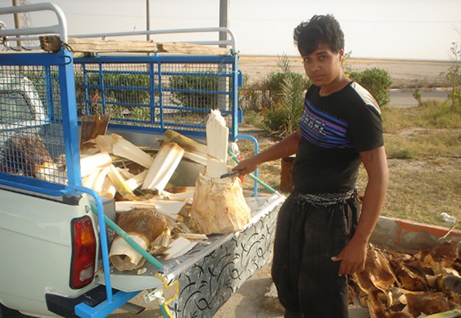 پنیر خرما 19