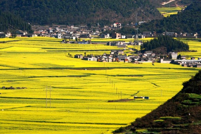 ۵۰ مکان شگفت انگیز