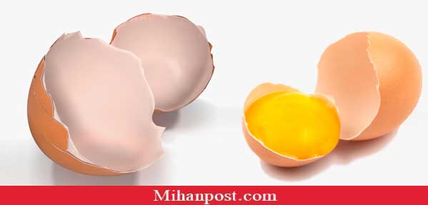 Eggshell 1