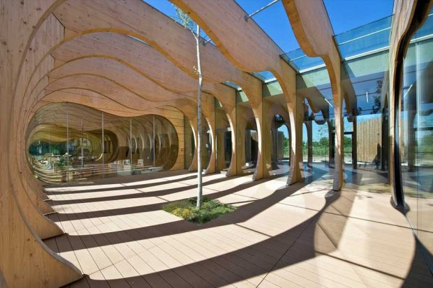 Kindergarten Wooden 12