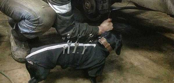 Mechanical assistance dog