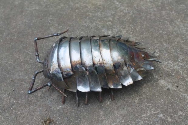 Metal Into Animals mihanpost 12