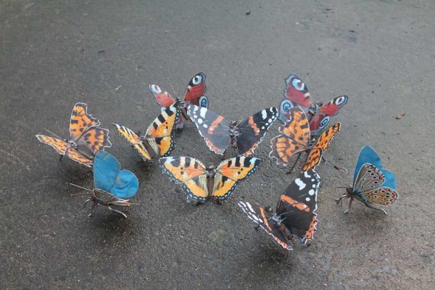 Metal Into Animals mihanpost 3