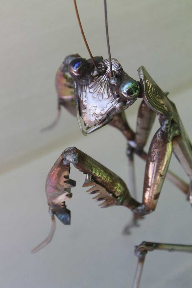 Metal Into Animals mihanpost 5