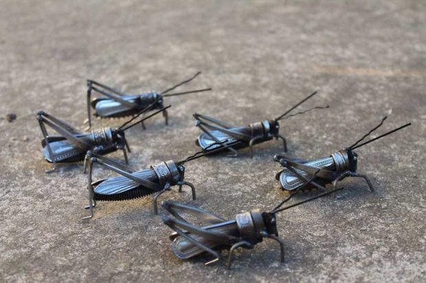 Metal Into Animals mihanpost 6