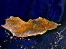 جزیره سقطری