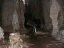 جزیره سقطری