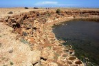 جزیره سقطری
