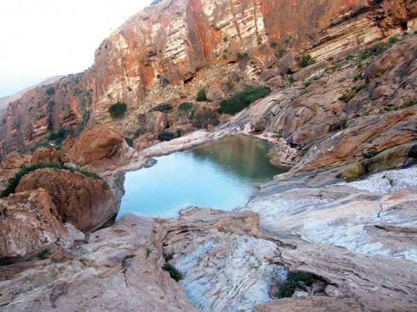 جزیره سقطری