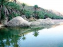 جزیره سقطری