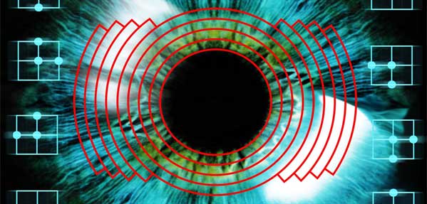 Software Lie Detector mihanpost