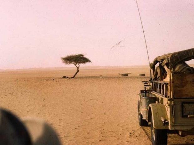 Tree of Ténéré 6