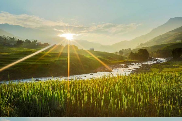 مکان های دیدنی و فراموش شده کشور ویتنام از دریچه دوربین عکاس فرانسوی 14 Vietnam photo 9