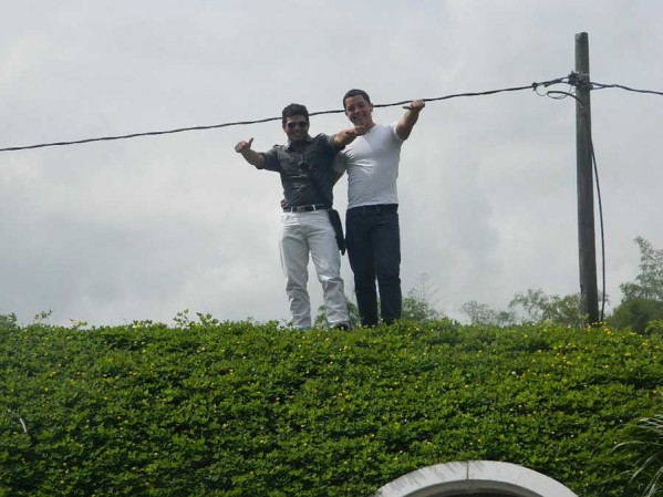 خانه های سبز و مدرن