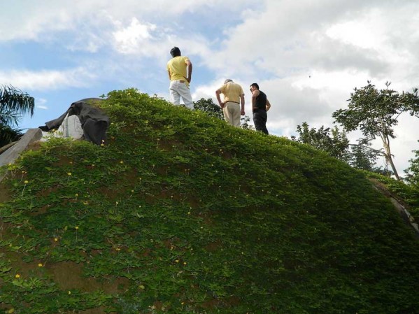 خانه های سبز و مدرن