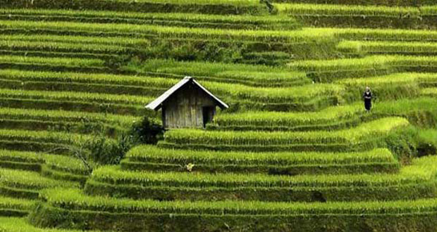 مکان های دیدنی و فراموش شده کشور ویتنام