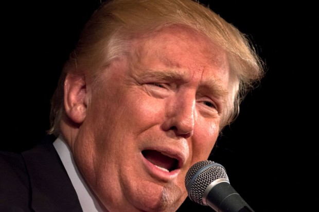 دونالد ترامپ پیرمردی خنده داری که رویای ریاست جمهوری دارد + عکس 13 Donald Trump fun photo 6