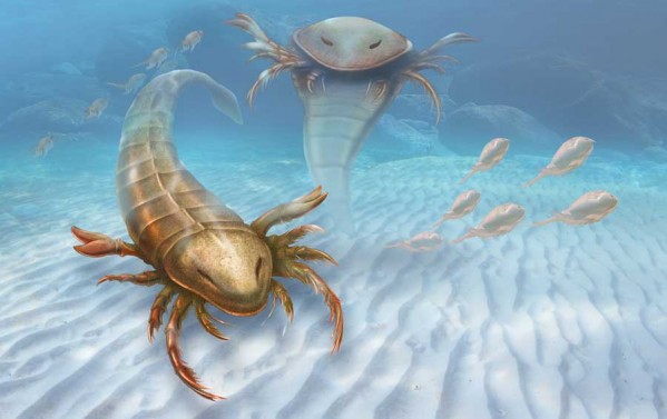 Pentecopterus Patrick Lynch