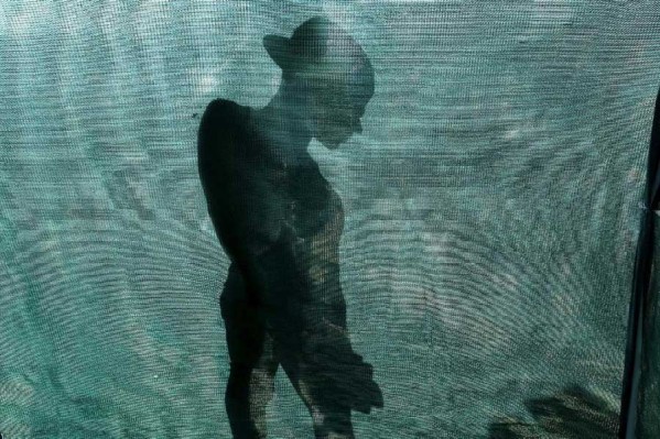 عکاسی از سایه و آموزش تهیه عکس با این روش خلاقانه + عکس 15 Photography shadow 13