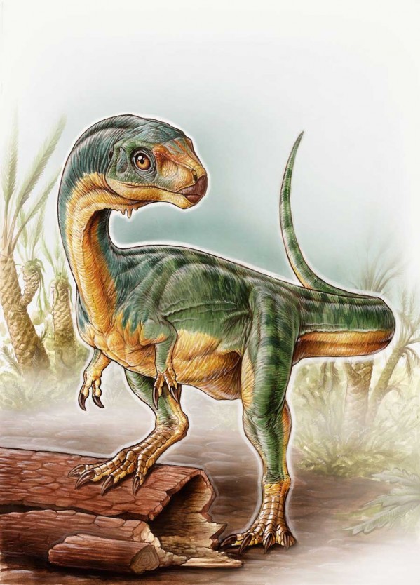 herbivore theropod 2