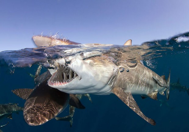 Photos Taken Between Two Worlds 27