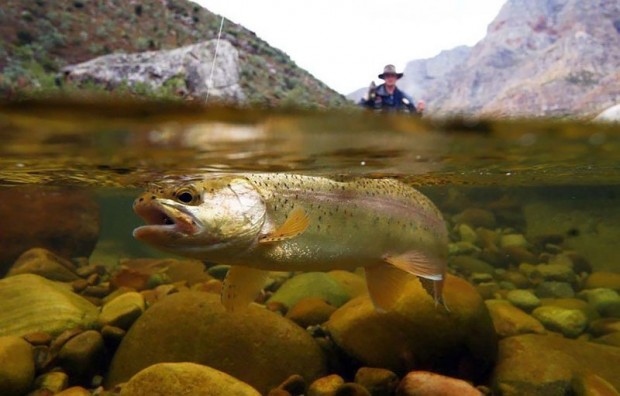 Photos Taken Between Two Worlds 29