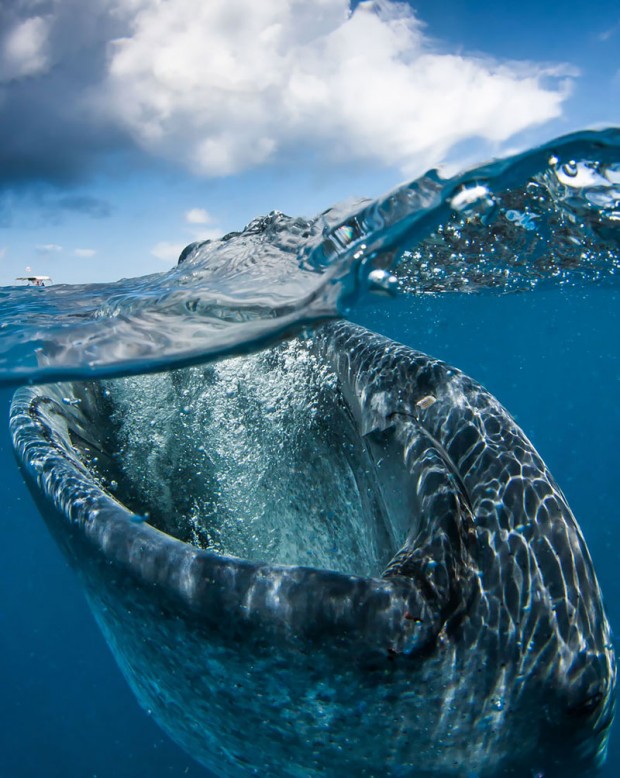 Photos Taken Between Two Worlds 3