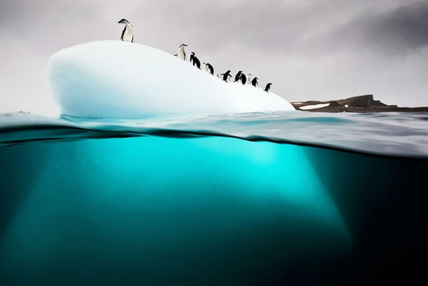 Photos Taken Between Two Worlds 40 1