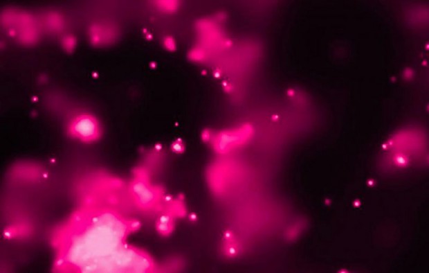 Spatial Black holes 29