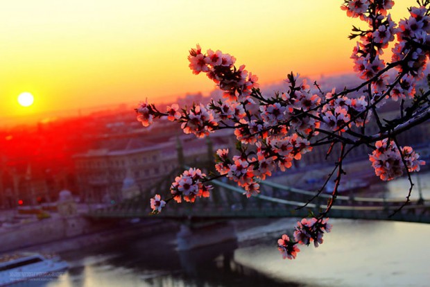 ثبت زیبایی های بوداپست مجارستان با تلاش ۵ ساله یک عکاس + عکس 5 The Real Beauty Of Budapest 8