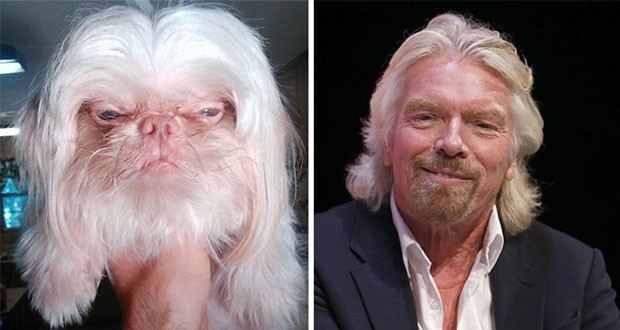 celebrity look alikes animals