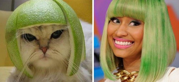 celebrity look alikes animals mihanpost 24