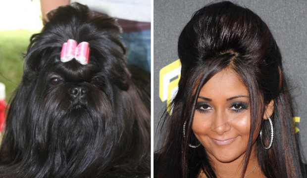 celebrity look alikes animals mihanpost 35