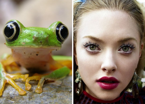 celebrity look alikes animals mihanpost 45