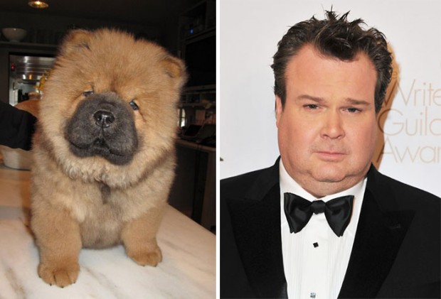 celebrity look alikes animals mihanpost 46