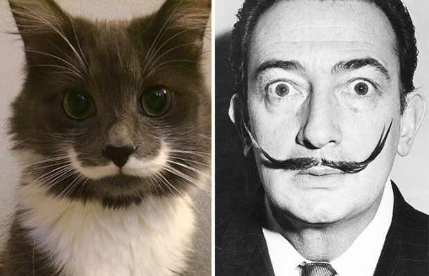 celebrity look alikes animals mihanpost 8
