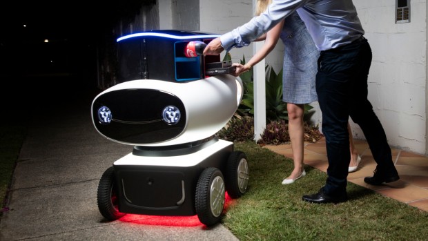 Robot Domino DRU mihampost 6