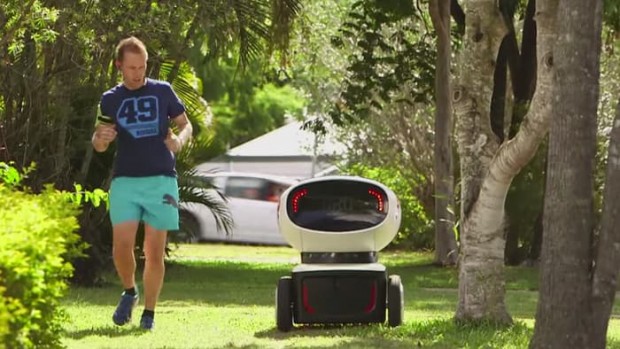 Robot Domino DRU mihampost
