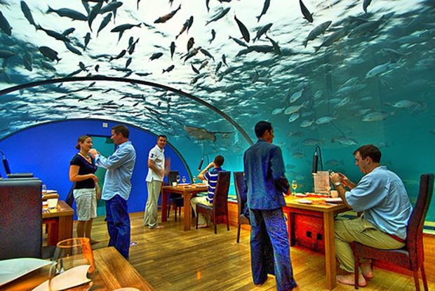 سفری به بزرگترین رستوران زیرآبی جهان در مالدیو + عکس 6 World’s Largest Underwater Restaurant En Route to Maldives mihanpost 10