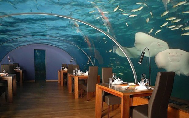 سفری به بزرگترین رستوران زیرآبی جهان در مالدیو + عکس 9 World’s Largest Underwater Restaurant En Route to Maldives mihanpost 11