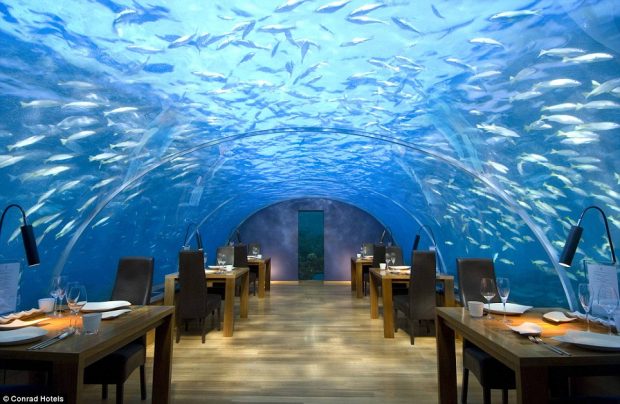 سفری به بزرگترین رستوران زیرآبی جهان در مالدیو + عکس 5 World’s Largest Underwater Restaurant En Route to Maldives mihanpost 6 1