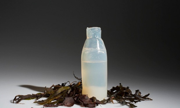 biodegradable algae water bottle ari jonsson mihanpost 1