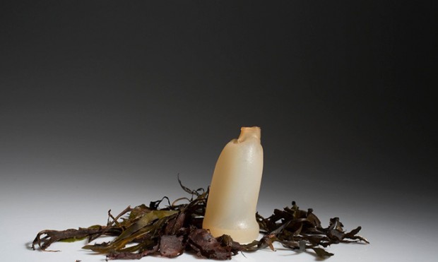biodegradable algae water bottle ari jonsson mihanpost 2