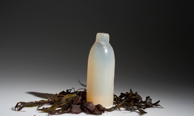 biodegradable algae water bottle ari jonsson mihanpost 3
