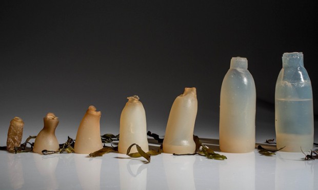 biodegradable algae water bottle ari jonsson mihanpost 4