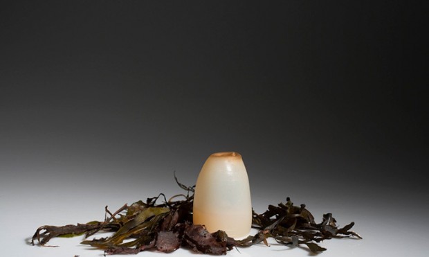 biodegradable algae water bottle ari jonsson mihanpost 5