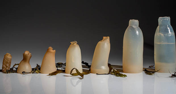 biodegradable algae water bottle ari jonsson mihanpost