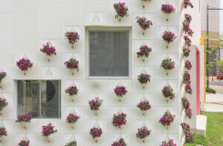 طراحی و معماری جالب دیوار با قابلیت کشت گل و گیاه