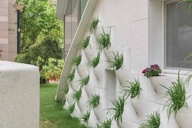 طراحی و معماری جالب دیوار با قابلیت کشت گل و گیاه