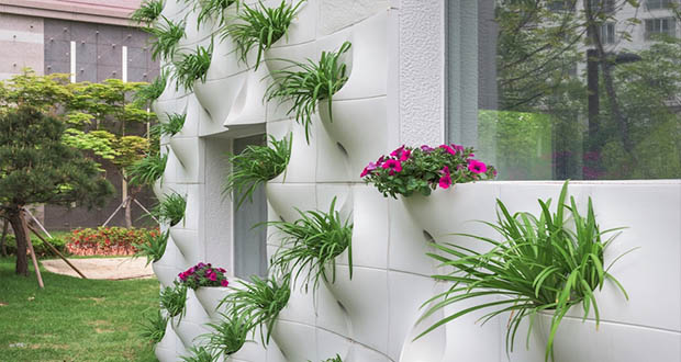 طراحی و معماری جالب دیوار با قابلیت کشت گل و گیاه